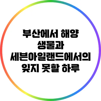 부산에서 해양 생물과 세븐아일랜드에서의 잊지 못할 하루