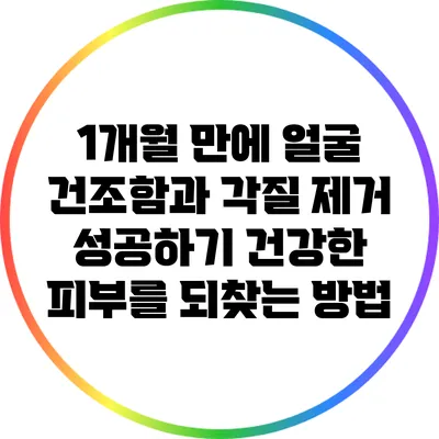 1개월 만에 얼굴 건조함과 각질 제거 성공하기: 건강한 피부를 되찾는 방법
