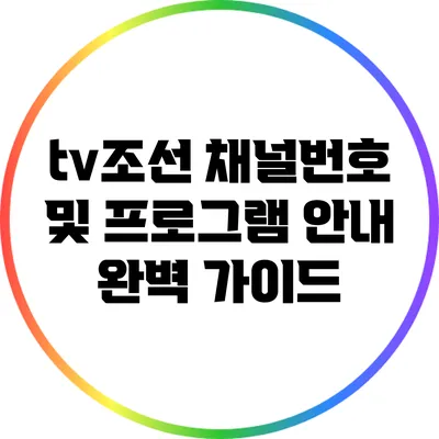 tv조선 채널번호 및 프로그램 안내 완벽 가이드