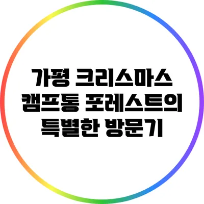 가평 크리스마스 캠프통 포레스트의 특별한 방문기