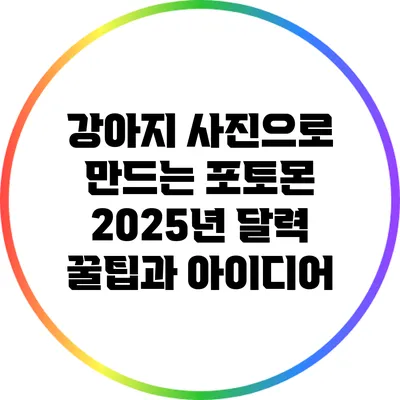 강아지 사진으로 만드는 포토몬 2025년 달력: 꿀팁과 아이디어