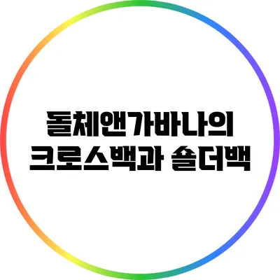 돌체앤가바나의 크로스백과 숄더백