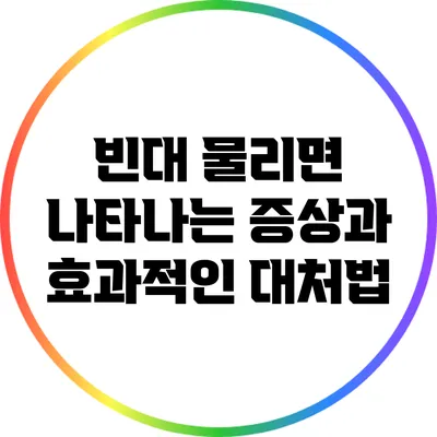 빈대 물리면 나타나는 증상과 효과적인 대처법