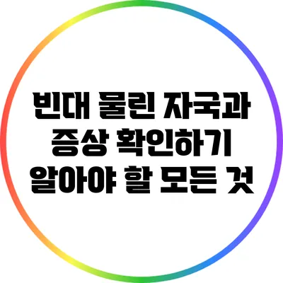 빈대 물린 자국과 증상 확인하기: 알아야 할 모든 것