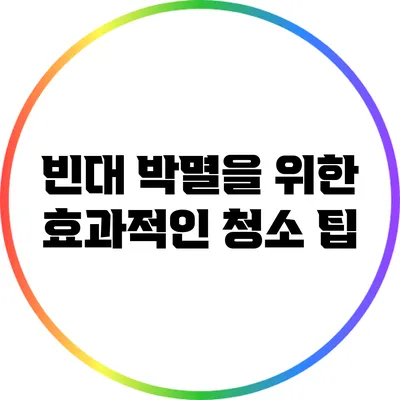 빈대 박멸을 위한 효과적인 청소 팁