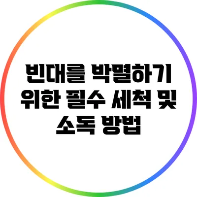 빈대를 박멸하기 위한 필수 세척 및 소독 방법