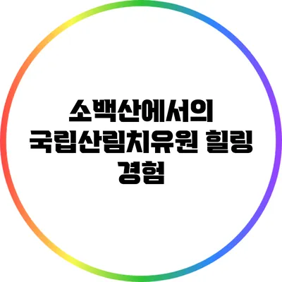 소백산에서의 국립산림치유원 힐링 경험