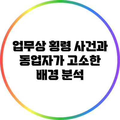 업무상 횡령 사건과 동업자가 고소한 배경 분석