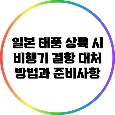 일본 태풍 상륙 시 비행기 결항 대처 방법과 준비사항