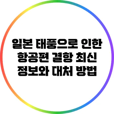 일본 태풍으로 인한 항공편 결항 최신 정보와 대처 방법