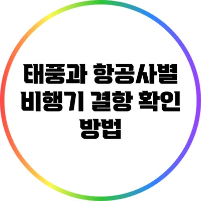 태풍과 항공사별 비행기 결항 확인 방법