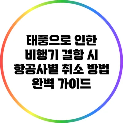 태풍으로 인한 비행기 결항 시 항공사별 취소 방법 완벽 가이드