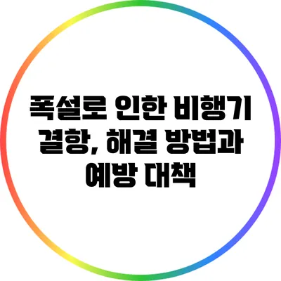 폭설로 인한 비행기 결항, 해결 방법과 예방 대책
