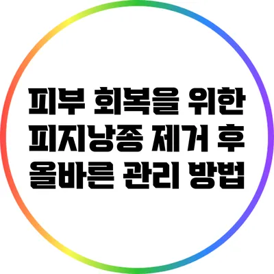 피부 회복을 위한 피지낭종 제거 후 올바른 관리 방법