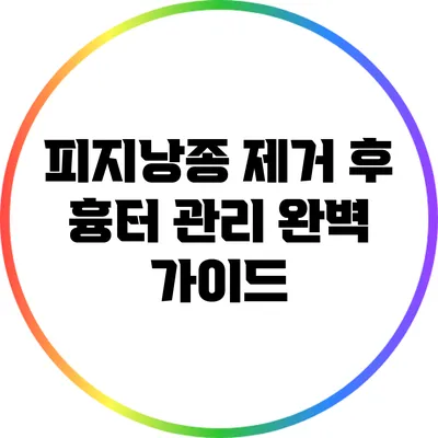 피지낭종 제거 후 흉터 관리 완벽 가이드