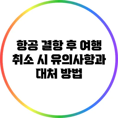 항공 결항 후 여행 취소 시 유의사항과 대처 방법