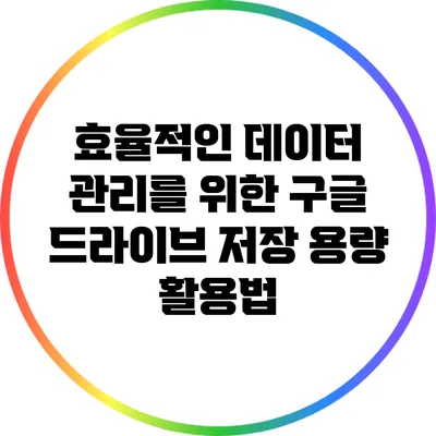 효율적인 데이터 관리를 위한 구글 드라이브 저장 용량 활용법