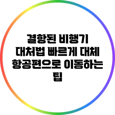 결항된 비행기 대처법: 빠르게 대체 항공편으로 이동하는 팁