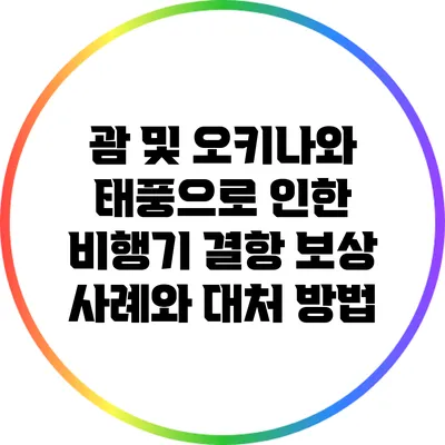 괌 및 오키나와 태풍으로 인한 비행기 결항 보상 사례와 대처 방법