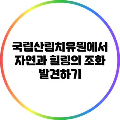 국립산림치유원에서 자연과 힐링의 조화 발견하기