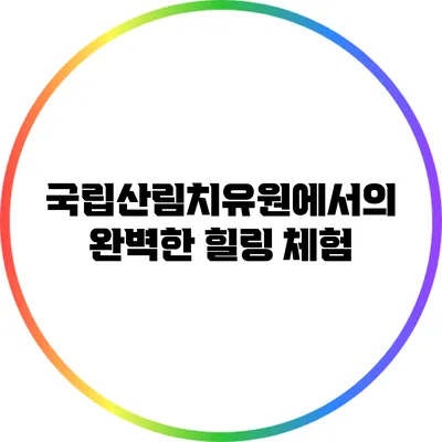 국립산림치유원에서의 완벽한 힐링 체험