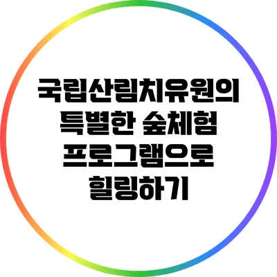 국립산림치유원의 특별한 숲체험 프로그램으로 힐링하기
