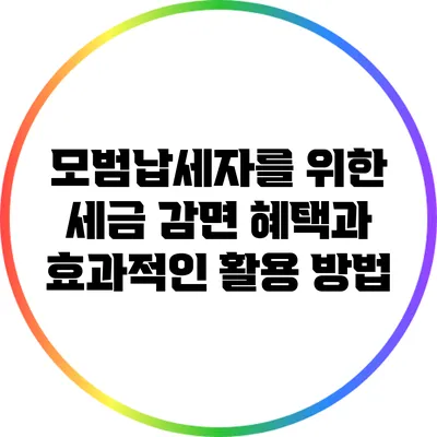 모범납세자를 위한 세금 감면 혜택과 효과적인 활용 방법