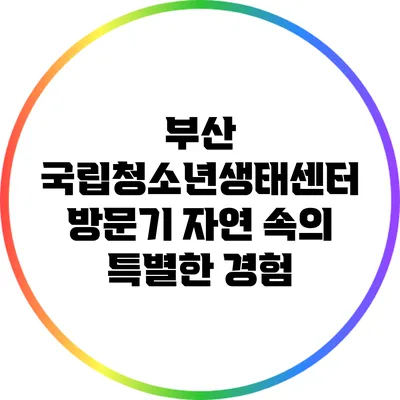 부산 국립청소년생태센터 방문기: 자연 속의 특별한 경험