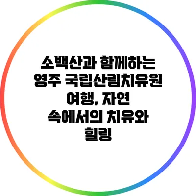 소백산과 함께하는 영주 국립산림치유원 여행, 자연 속에서의 치유와 힐링