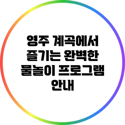 영주 계곡에서 즐기는 완벽한 물놀이 프로그램 안내