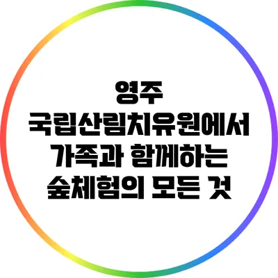 영주 국립산림치유원에서 가족과 함께하는 숲체험의 모든 것