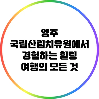 영주 국립산림치유원에서 경험하는 힐링 여행의 모든 것