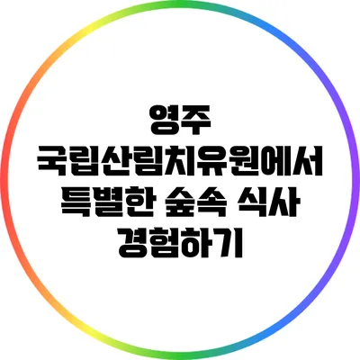 영주 국립산림치유원에서 특별한 숲속 식사 경험하기
