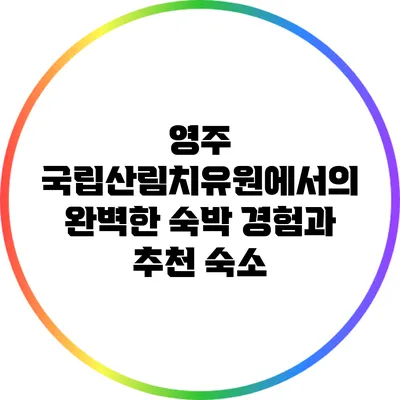 영주 국립산림치유원에서의 완벽한 숙박 경험과 추천 숙소