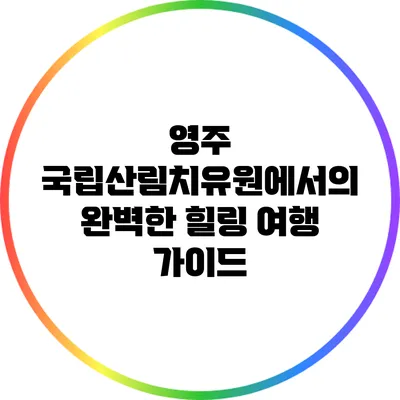 영주 국립산림치유원에서의 완벽한 힐링 여행 가이드