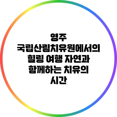 영주 국립산림치유원에서의 힐링 여행: 자연과 함께하는 치유의 시간