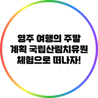 영주 여행의 주말 계획: 국립산림치유원 체험으로 떠나자!