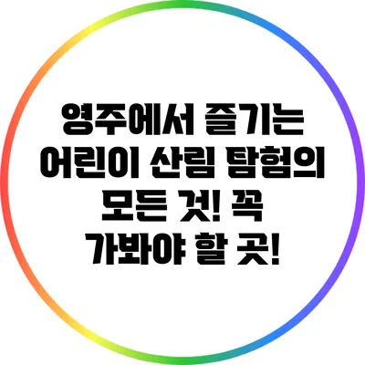 영주에서 즐기는 어린이 산림 탐험의 모든 것! 꼭 가봐야 할 곳!