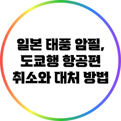 일본 태풍 암필, 도쿄행 항공편 취소와 대처 방법