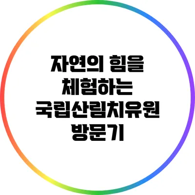 자연의 힘을 체험하는 국립산림치유원 방문기