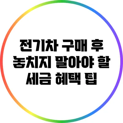 전기차 구매 후 놓치지 말아야 할 세금 혜택 팁