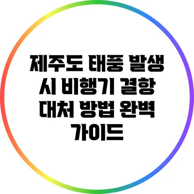 제주도 태풍 발생 시 비행기 결항 대처 방법 완벽 가이드