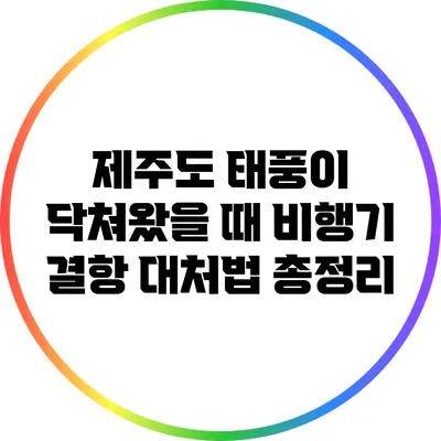 제주도 태풍이 닥쳐왔을 때 비행기 결항 대처법 총정리