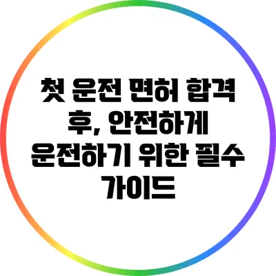 첫 운전 면허 합격 후, 안전하게 운전하기 위한 필수 가이드