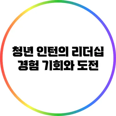 청년 인턴의 리더십 경험: 기회와 도전