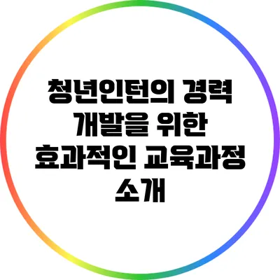 청년인턴의 경력 개발을 위한 효과적인 교육과정 소개
