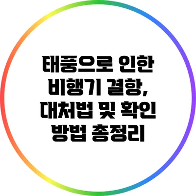 태풍으로 인한 비행기 결항, 대처법 및 확인 방법 총정리