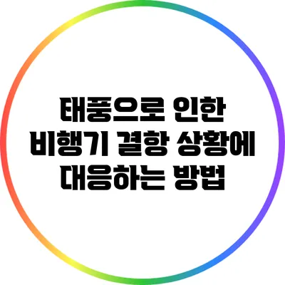 태풍으로 인한 비행기 결항 상황에 대응하는 방법