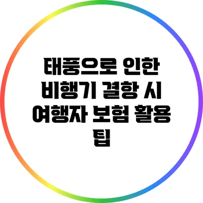 태풍으로 인한 비행기 결항 시 여행자 보험 활용 팁