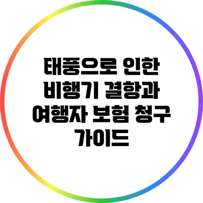 태풍으로 인한 비행기 결항과 여행자 보험 청구 가이드